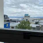 Canelo De Patagonia